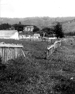 Fence offset by 1906 quake
