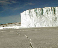 the Barne glacier