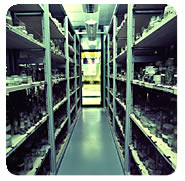 Picture: Shelves at the Natural History Museum of London