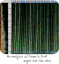 A DNA analysis of Trema might look like this.