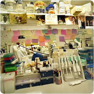 image: DNA lab